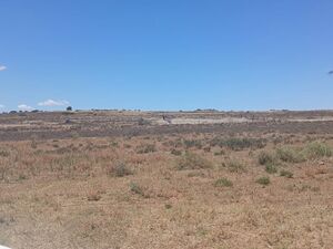 Phillipstown -PLOT FOR SALE – R90 000 CASH ONLY – EXCLUDING 