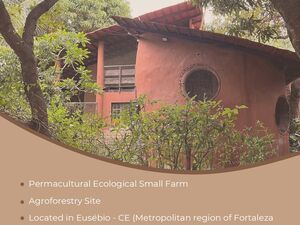 Eco-Friendly Country House