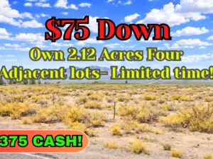 Buy 4 Adjacent Lots Totalling 2.12 Acre for Just $75 Down