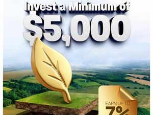 Trustline Real Estate Investment Notes