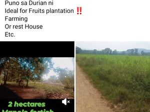 Farm lot in bukidnon 