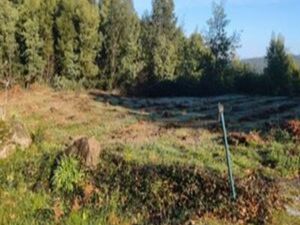 Terreno urbanizável com 2.261 m2 - Vila Nova de Cerveira