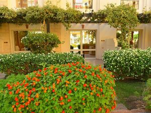 Studio 63Sqm directly on the pool