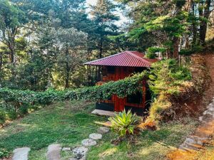 Charming Chalet in Poás: Cabaña Piqueza!