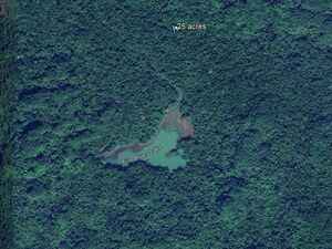 Belize Virgin Forest Land-25 acres near Five Blues Lake