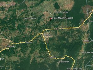Belize Farm land-25 acres Never Delay Area