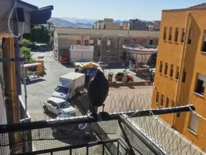 Panoramic House in Sicily - Casa Re Via Ancona
