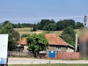 Rural house in Transylvania with 8,000 m² land