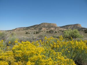 Unbelievable bargain! 1 acre New Mexico for only €50 a month