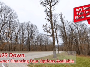 July Summer Sale is Live! Own 0.27 Acre for Just $99/Down 