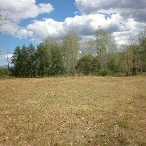 Nice plot of land with mineral spring located near spa resort town 30 km away from Montana,Bulgaria