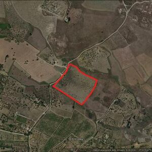 Land in Sicily - Alfano Cda Passarello