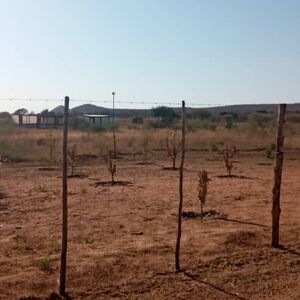 2 hectares land for sale in Dikhutsana lands near Gabane, BW
