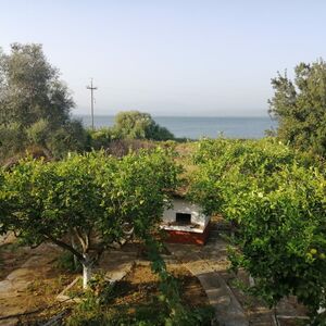 In 402m2 Yard 100 m2 Furnished Seafront  Villa in Koronisia 