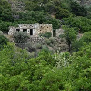 Beautiful plot of land + House for restoration Skyros Skiros