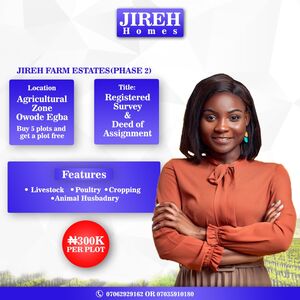 Affordable Farmland for Sale @OWODE Egba Ogun State