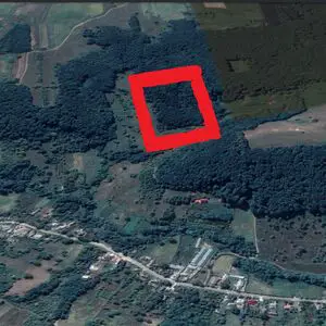 8000 sqm Land for Sale Forested Land, Bacau Romania