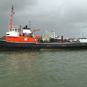 Characterful Tug for Conversion - Napia    £75,000