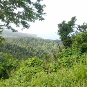 Land For Sale In Warner