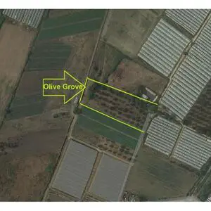 OLIVE GROVE FARM Exchanging for House