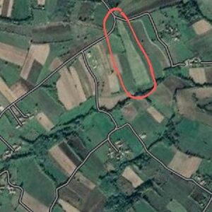 Hazel plantations for sale area of ​​2 hectares