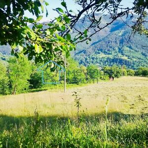 Premium property in Bulgaria