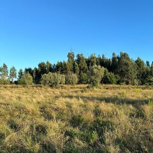 🌿 EXCELLENT LAND WITH CONSTRUCTION POTENTIAL – PRIME OPPORT