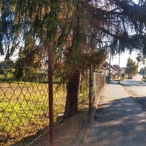 Sunny 719 m² plot—ideal for your dream family home