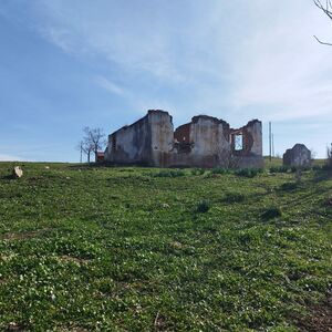 Plot of land for sale in the village of Popovo, Yambol regio