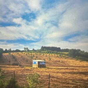I am selling a plot of land of 178 ares in Jasenak-Obrenovac