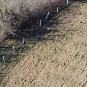 I am selling a plot of 83 are Banja-Arandjelovac