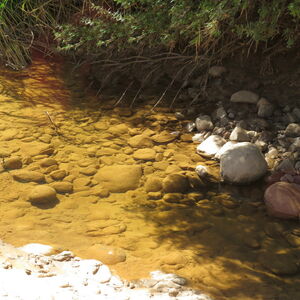 Large Pieces Of The Puzzle (624.1)