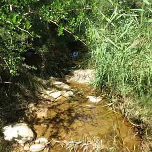 Small Pieces Of The Puzzle (624.3)