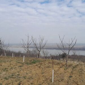 Land for sale Plavinci-Grocka