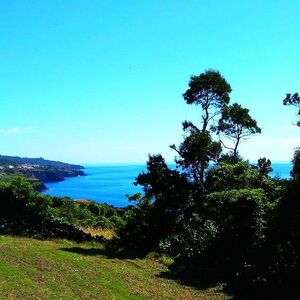 The Ideal Off Grid Tiny House Property in the Azores Island