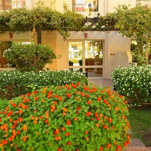  Studio 51m pool view in Arabia