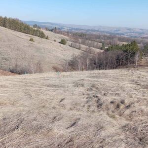 I am selling plots of land in Divcibare-Tometino Polje