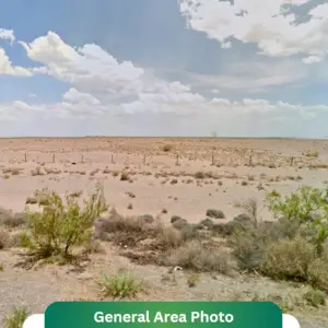 1.04 Acres for $110/Mo – Family-Friendly Land