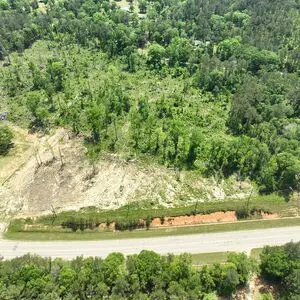 21 +/- Acres for Auction! Amite, Louisiana