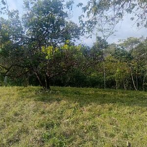 Your paradise in Montezuma (South Nicoya) Costa Rica