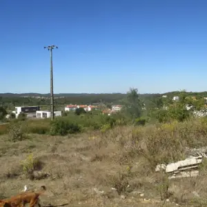  Rustic Land and Farms