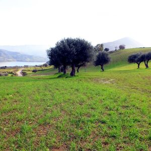 sh 603 land plot, Caccamo