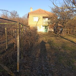 village of Zlatiya, municipality of Valchedram, Montana regi
