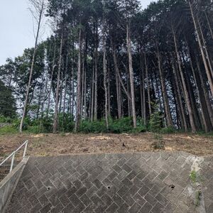 Rare Land in Historic Samurai Town – Hot Spring Area