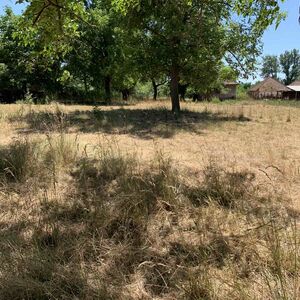 Land for sale in Jagnjilo-Mladenovac