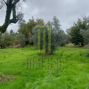 Plot of rustic land with viability for construction 