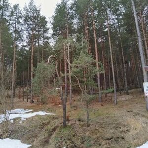Land for sale in Zlatibor-Vodice