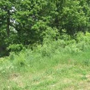 Na prodaju poljoprivredno zemljiste Rusanj