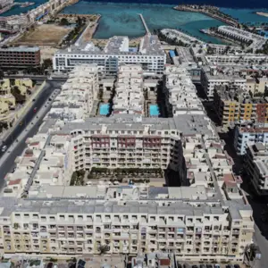 Florenza Khamsin🌺