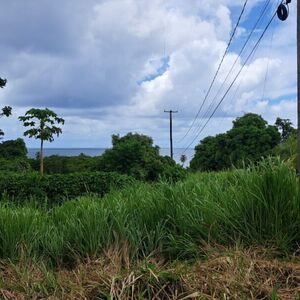 19456 sq ft plot Calibishie, Saint Andrew, Dominica